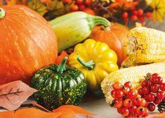 "Harvest" Postcard (26-5)