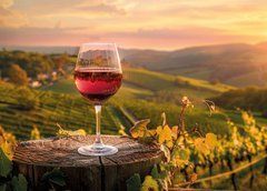 "Wine" Greeting Card (26-28)