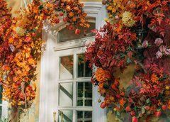 "Autumn" Postcard (26-71)