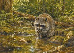 Postcard "Ukrainian Forest" (26-2)