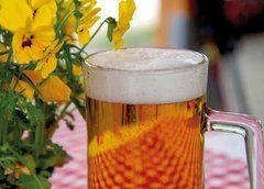 Beer (24-16)