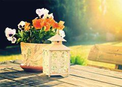 Flowers (25-14)