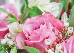 Roses (25-2)