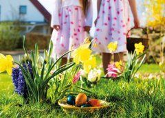 Spring (24-18)