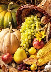 "Harvest" Postcard (26-6)