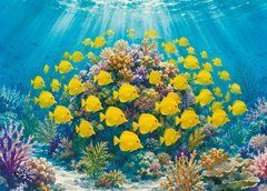 Листівка "Морські жителі" (26-3)
