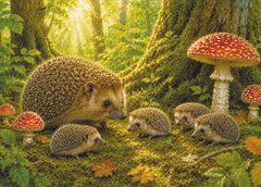 Postcard "Ukrainian Forest" (26-13)