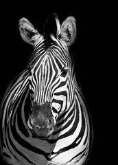 Листівка "Black and white" (26-8)