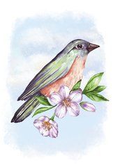Bird (2)