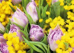 Postcard "Spring" (26-17)