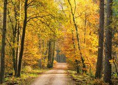Postcard "Autumn" (25-65)