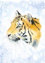 Tiger (a-14)