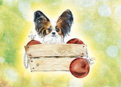 Cats-dogs (4)