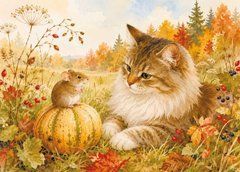 Листівка "Життя котика" (26-61)