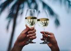Wine (25-24)