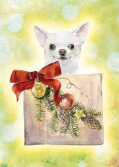Cats-dogs (12)