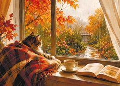 "A Cat's Life" Postcard (26-68)