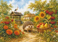 "Hedgehog" Postcard (26-6)