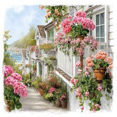 Postcard "Street Pelargoniums" (26-1)