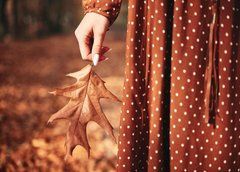 Postcard "Autumn" (25-14)