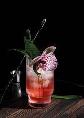 Cocktail (25-4)