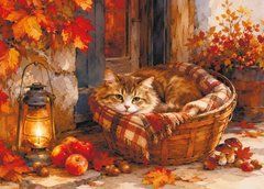"A Cat's Life" Postcard (26-72)
