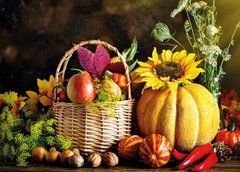 "Harvest" Postcard (26-2)