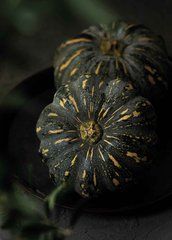 "Harvest" Postcard (26-17)