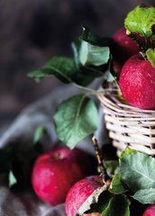 "Harvest" Postcard (26-23)